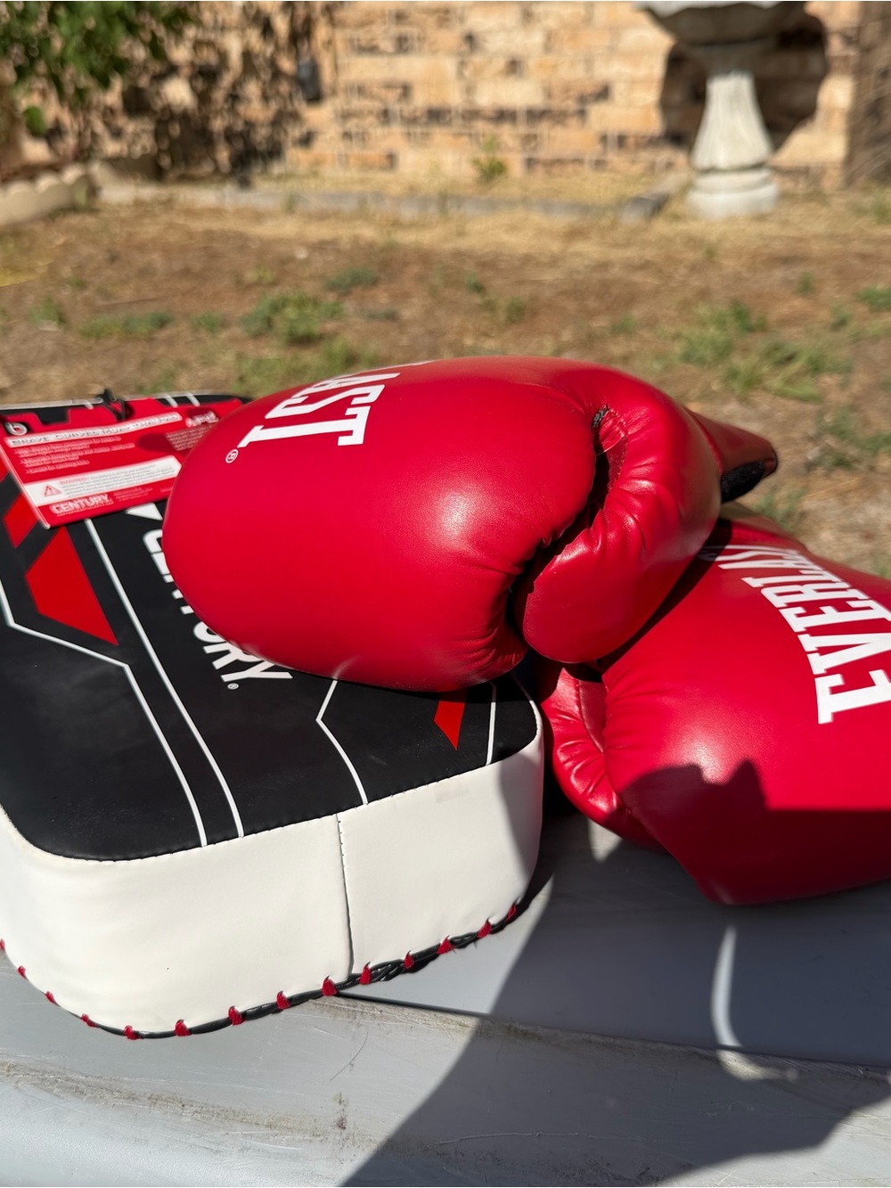 Everlast Red Boxing Gloves with Black and White Focus Pad